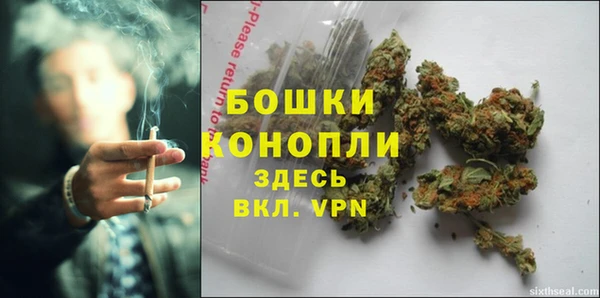 гашик Надым