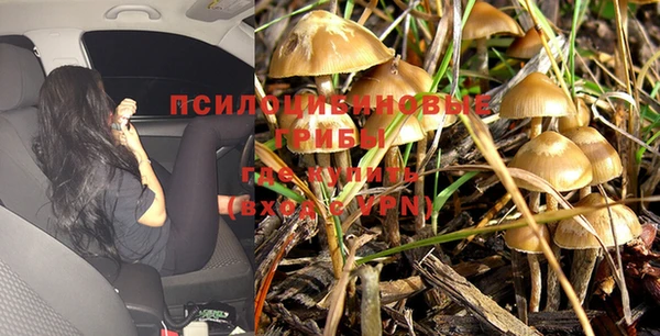 гашишное масло Арсеньев