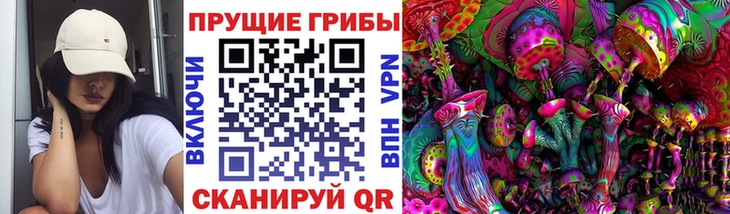Галлюциногенные грибы Psilocybe  OMG ONION  Сокол 